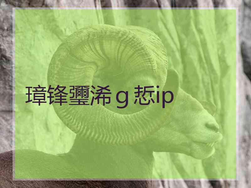 璋锋瓕浠ｇ悊ip