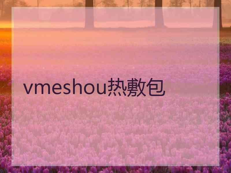 vmeshou热敷包