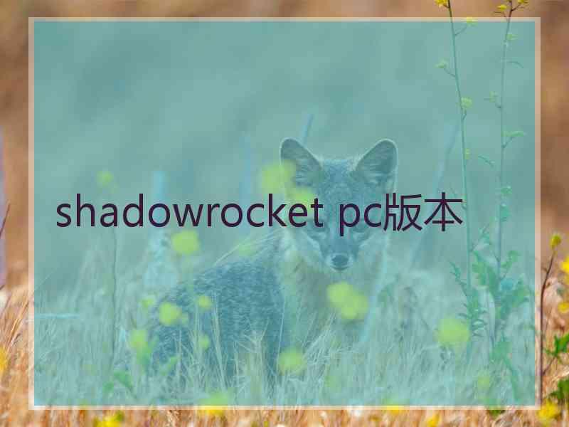 shadowrocket pc版本