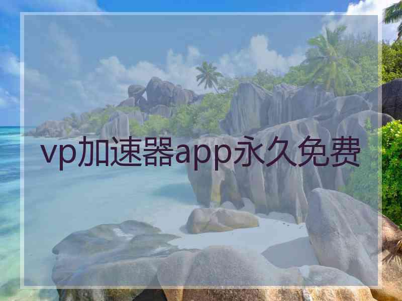 vp加速器app永久免费