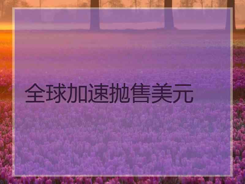 全球加速抛售美元