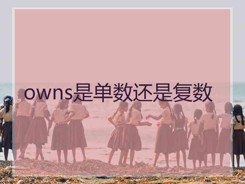 owns是单数还是复数