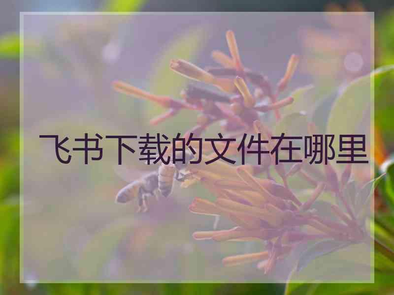 飞书下载的文件在哪里