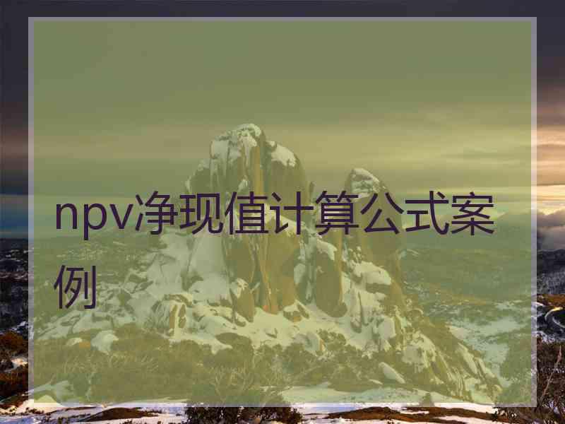 npv净现值计算公式案例