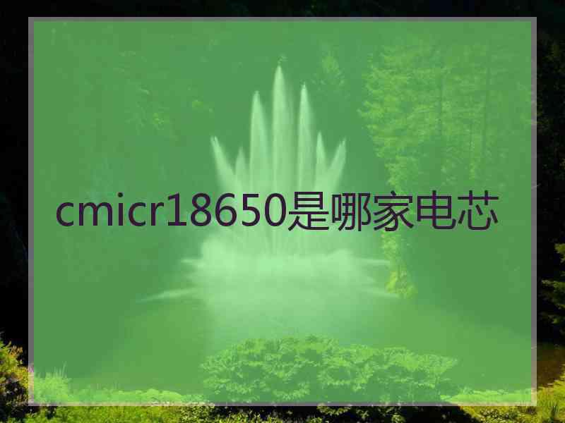 cmicr18650是哪家电芯