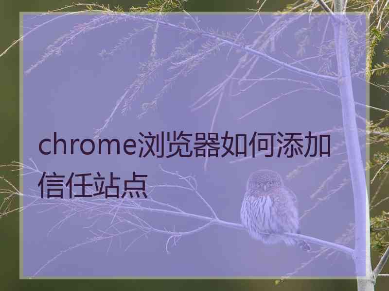 chrome浏览器如何添加信任站点