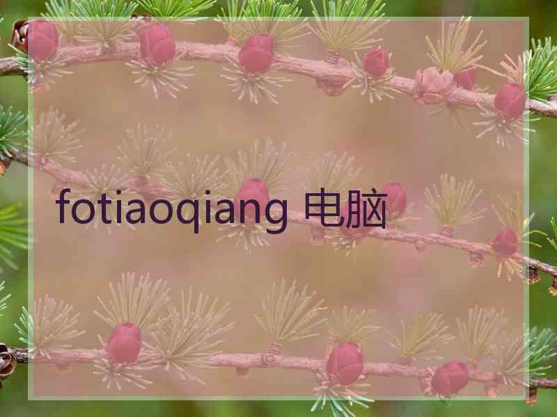 fotiaoqiang 电脑