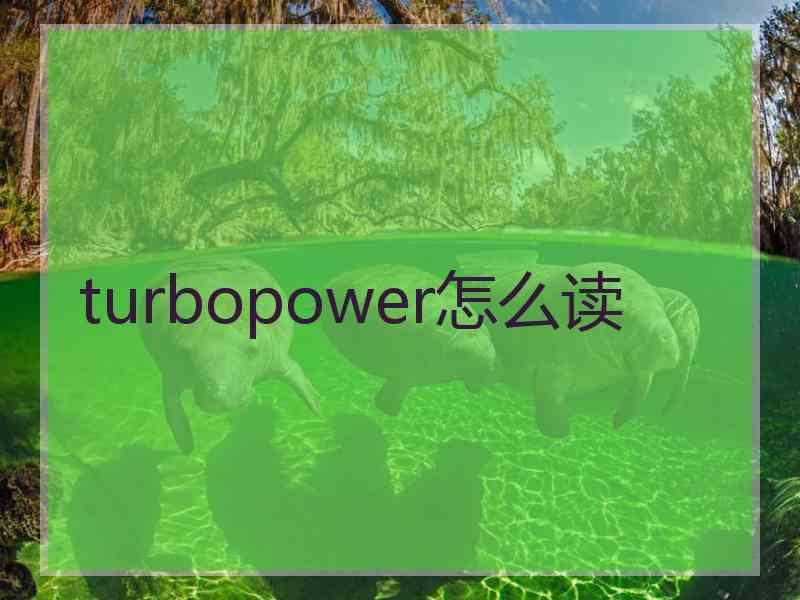 turbopower怎么读