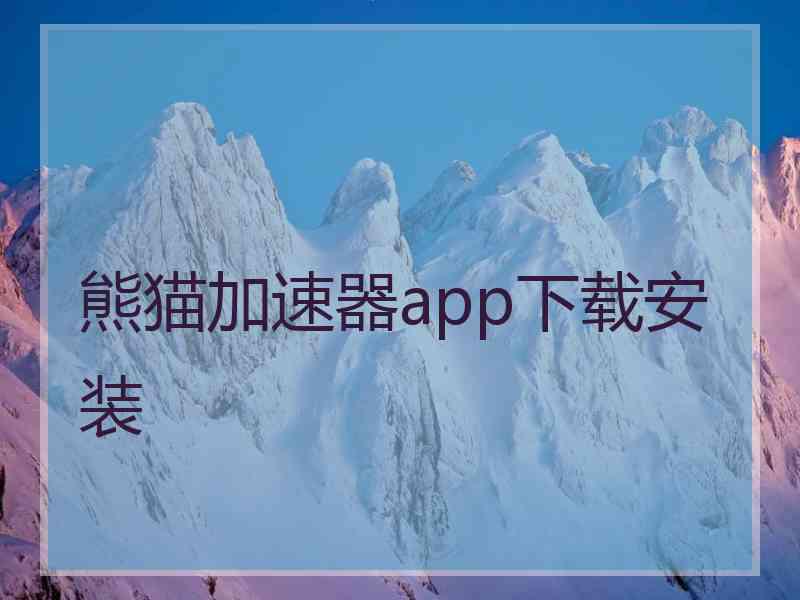 熊猫加速器app下载安装