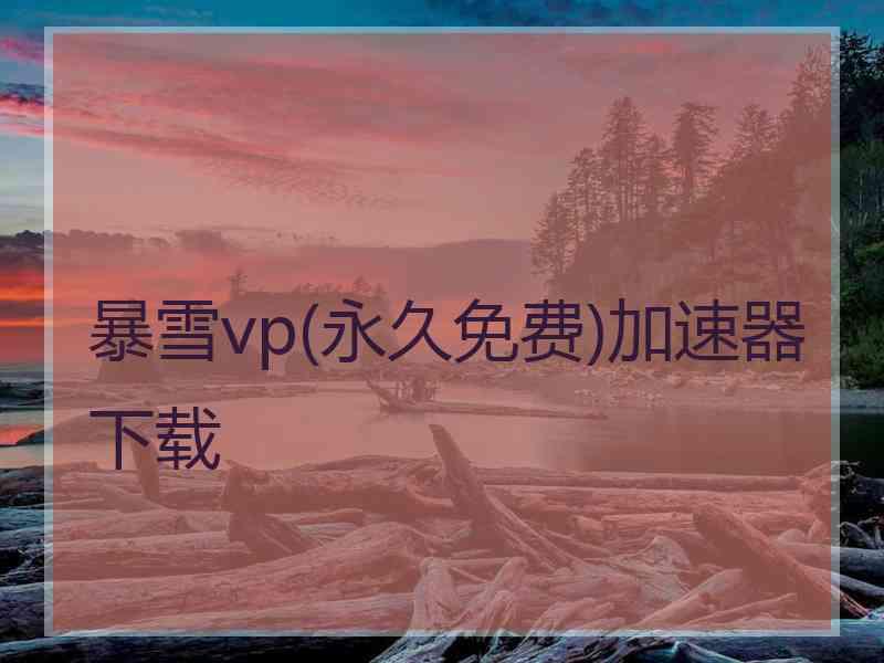 暴雪vp(永久免费)加速器下载