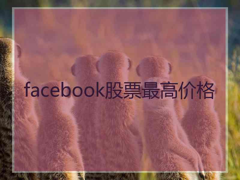 facebook股票最高价格