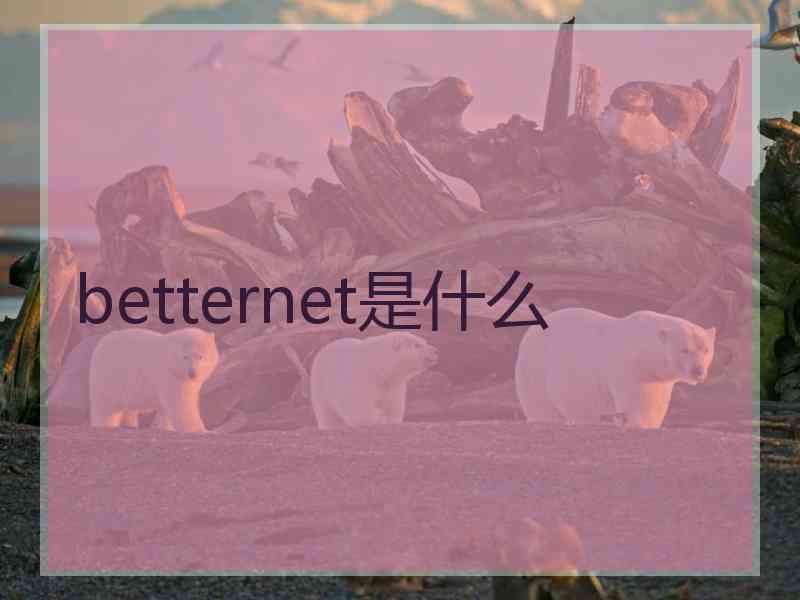 betternet是什么