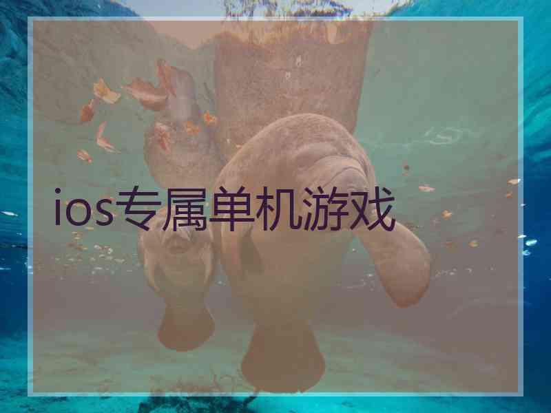 ios专属单机游戏