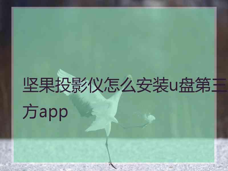 坚果投影仪怎么安装u盘第三方app