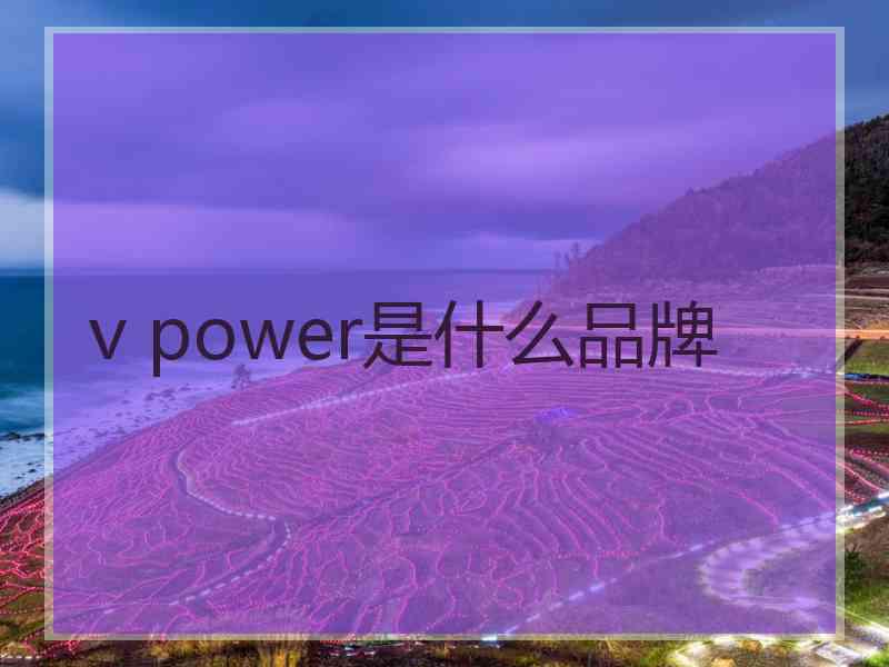 v power是什么品牌