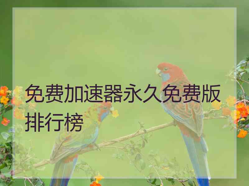 免费加速器永久免费版排行榜