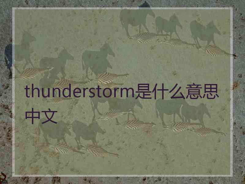 thunderstorm是什么意思中文