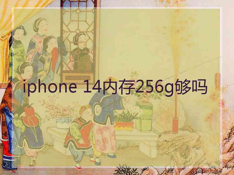 iphone 14内存256g够吗