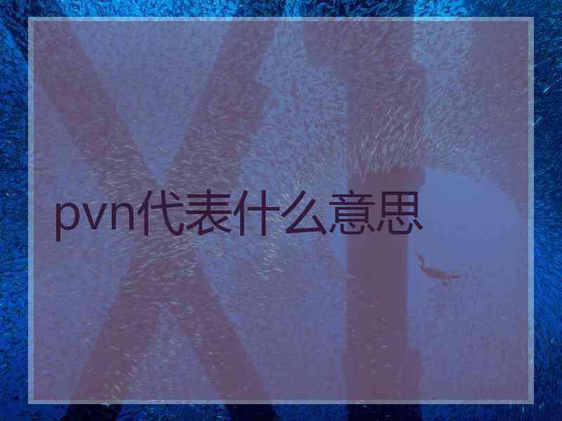 pvn代表什么意思