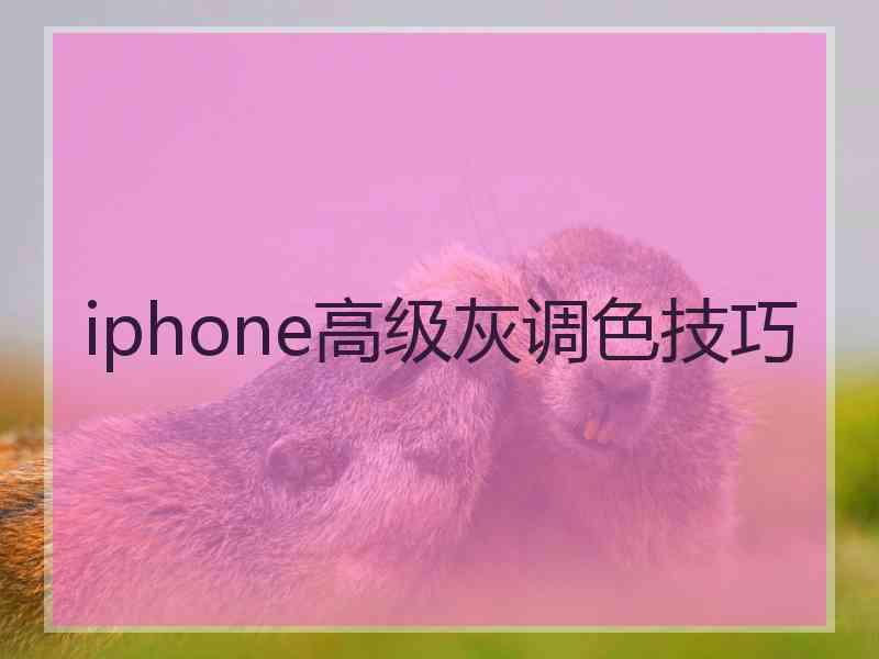 iphone高级灰调色技巧