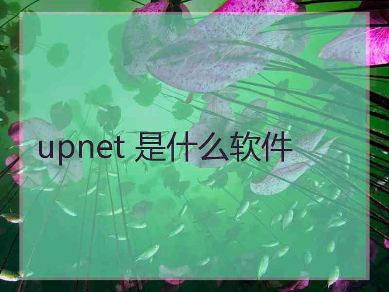 upnet 是什么软件