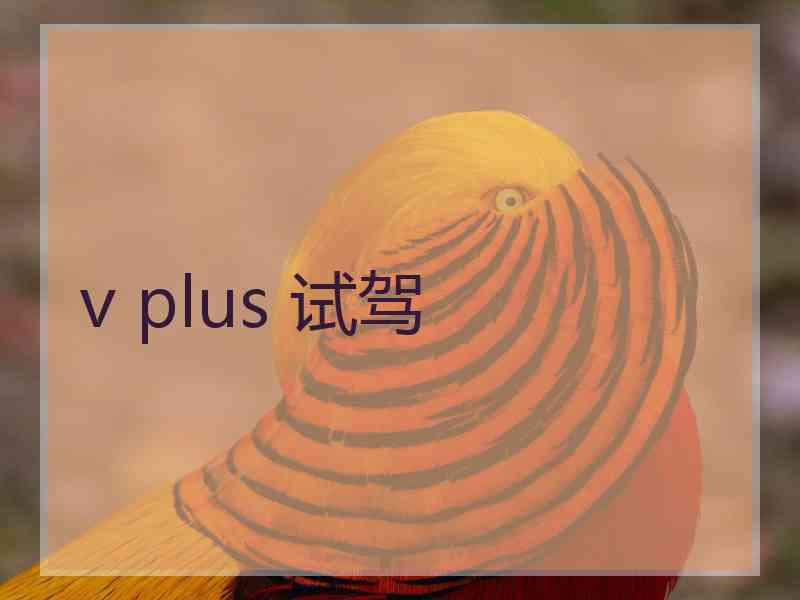 v plus 试驾