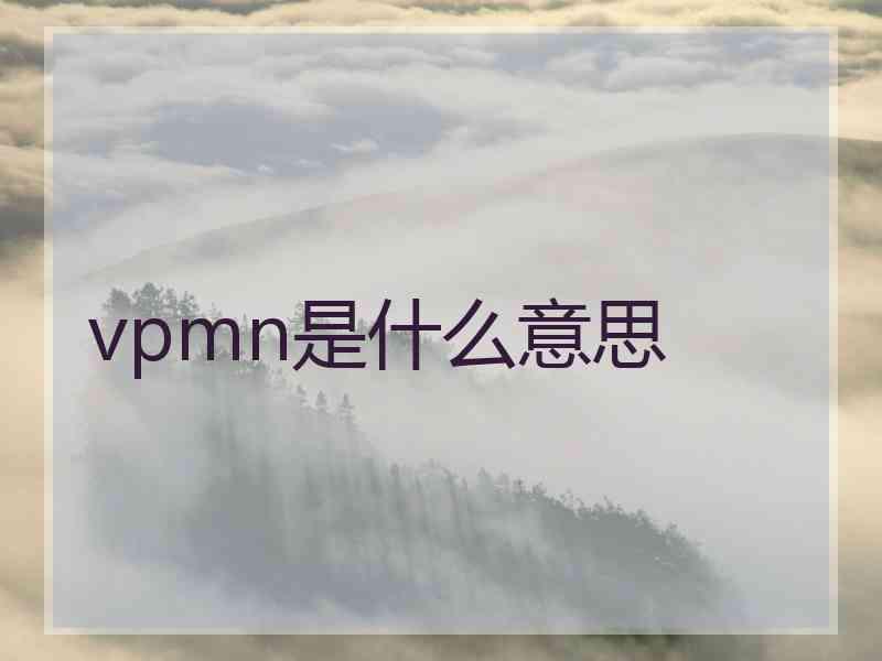 vpmn是什么意思