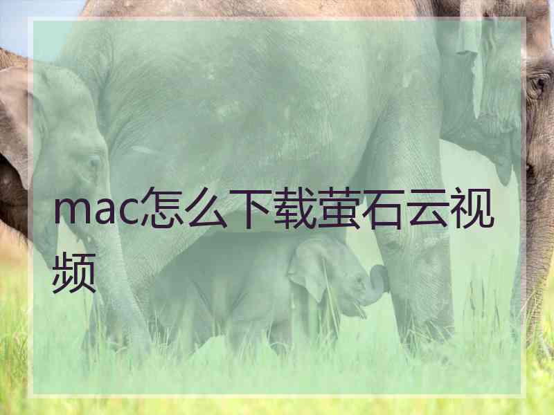 mac怎么下载萤石云视频