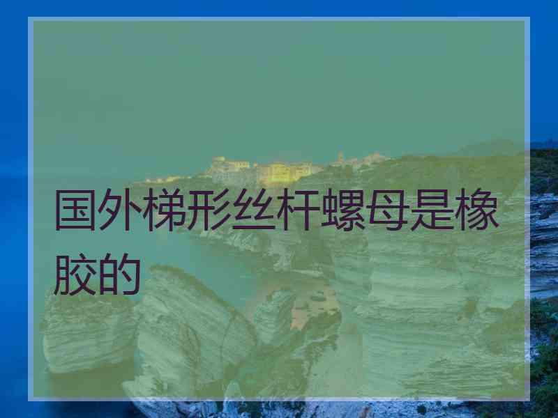 国外梯形丝杆螺母是橡胶的