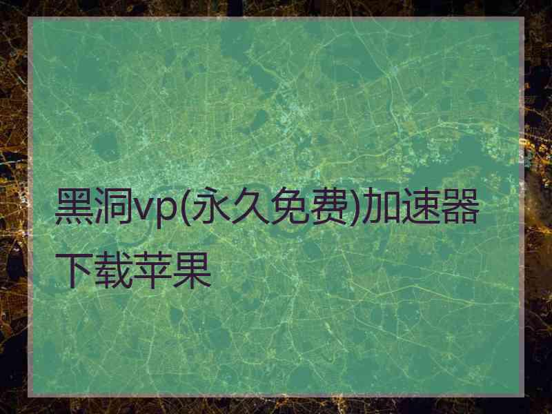 黑洞vp(永久免费)加速器下载苹果