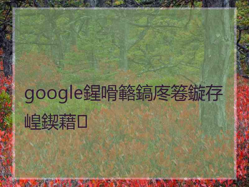 google鍟嗗簵鎬庝箞鏇存崲鍥藉