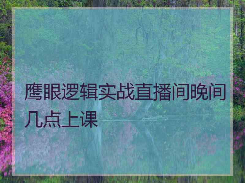 鹰眼逻辑实战直播间晚间几点上课