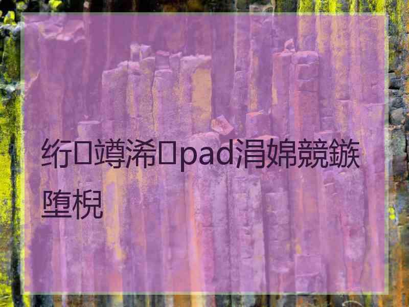 绗竴浠pad涓婂競鏃堕棿