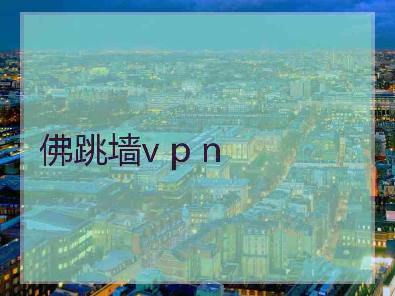 佛跳墙v p n