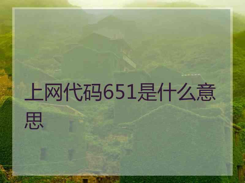 上网代码651是什么意思