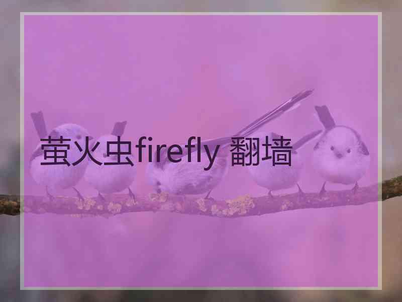 萤火虫firefly 翻墙