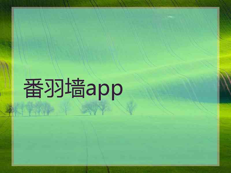 番羽墙app