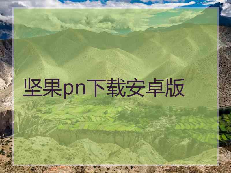 坚果pn下载安卓版