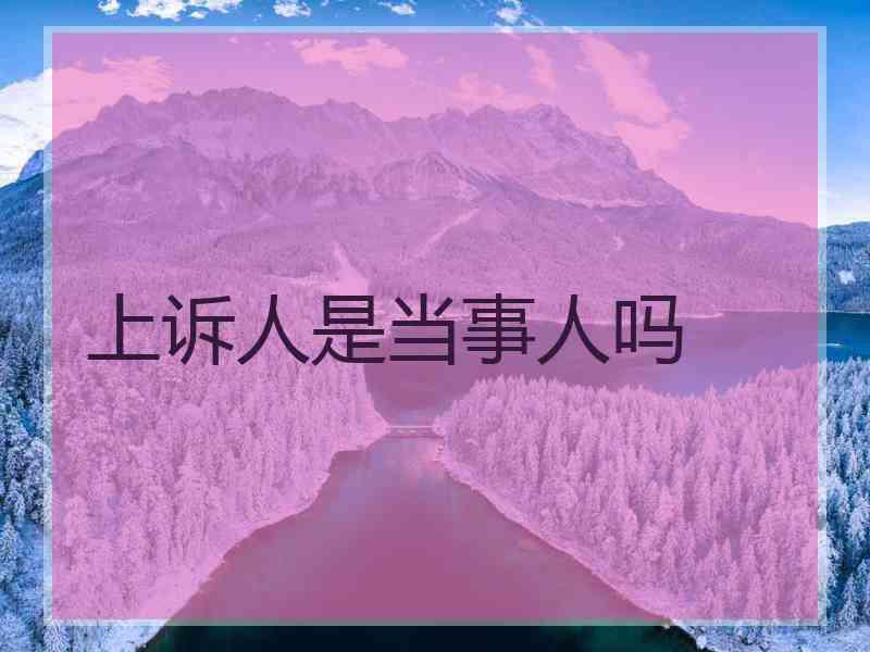 上诉人是当事人吗