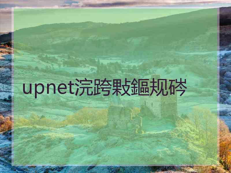 upnet浣跨敤鏂规硶