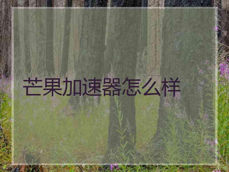 芒果加速器怎么样