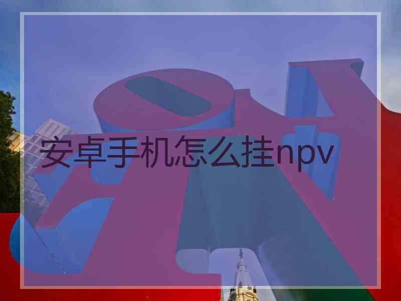 安卓手机怎么挂npv