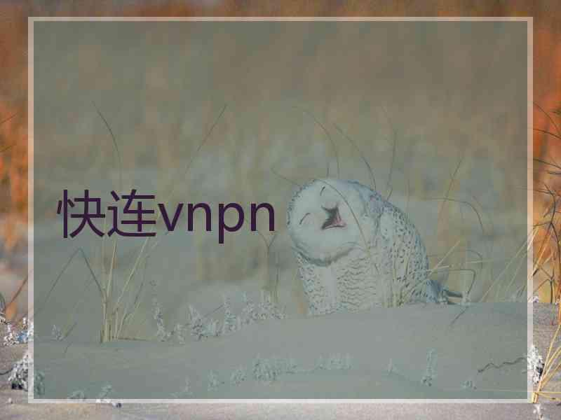 快连vnpn