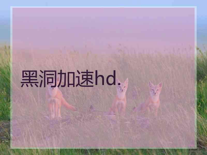 黑洞加速hd.