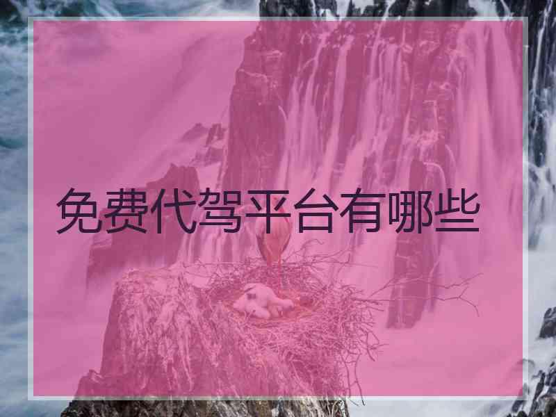 免费代驾平台有哪些