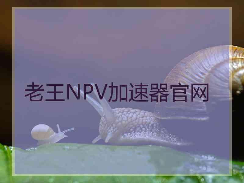 老王NPV加速器官网