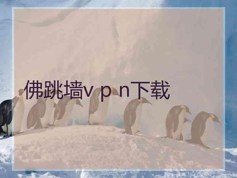 佛跳墙v p n下载