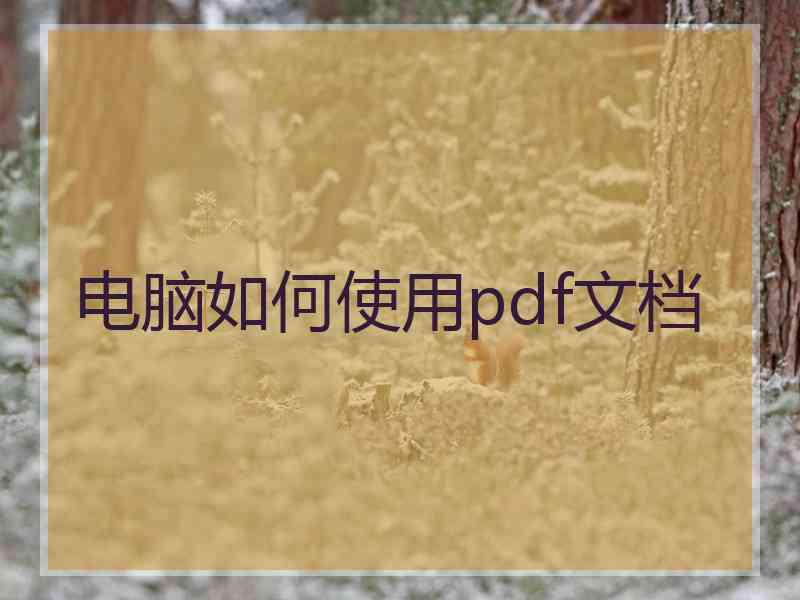 电脑如何使用pdf文档