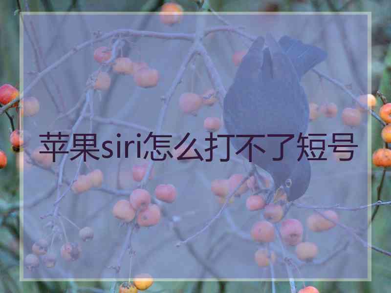 苹果siri怎么打不了短号