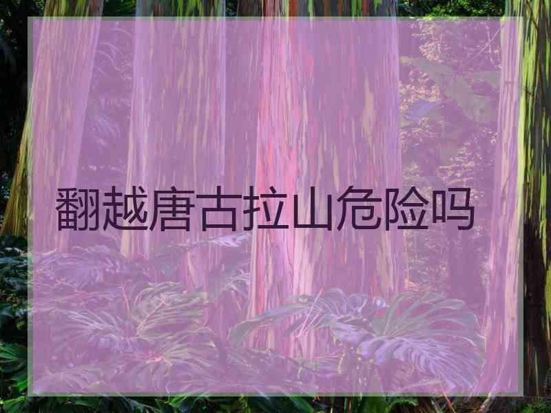 翻越唐古拉山危险吗